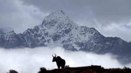 Everest Tour Packages