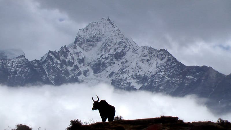 Everest Tour Packages