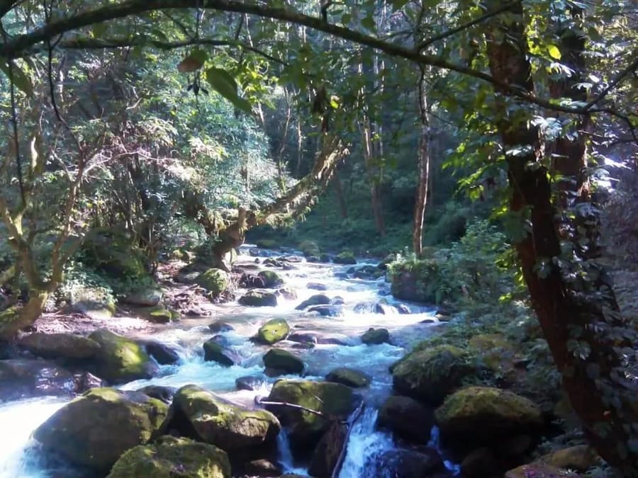 Shivapuri National Park- Swotah Travel