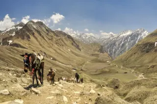 Monsoon Trekking in Nepal 2026: Best Rain-Shadow Treks for July & August