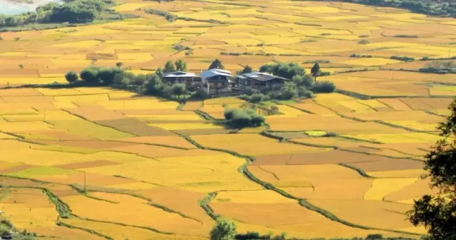 10 Best Things to Do in Bhutan