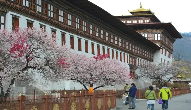A Complete Guide to Traveling to Bhutan