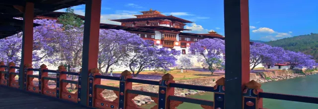 Why Combine Nepal, Bhutan, and Tibet in One Tour?