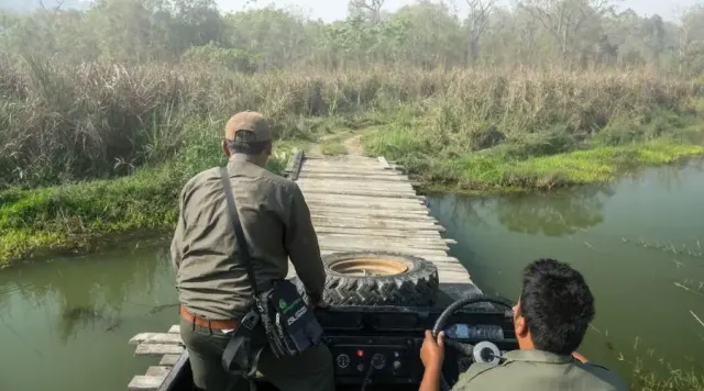 Nepal's Top 5 Wildlife Safaris