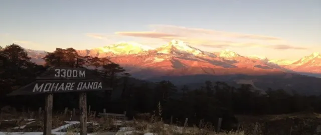Mohare Danda Trek