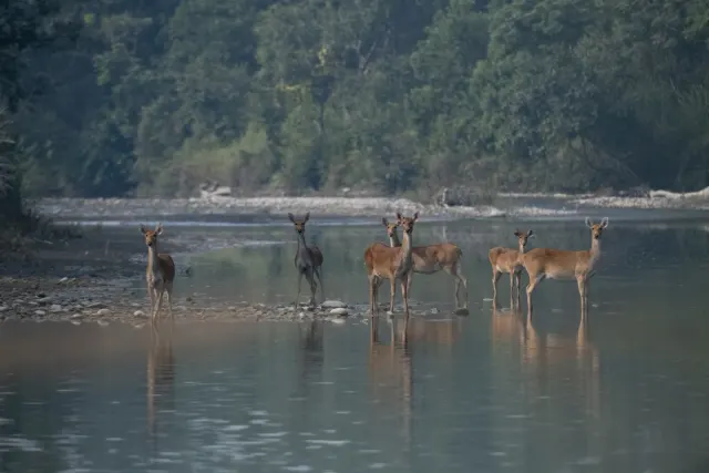 Wonders of Nepal