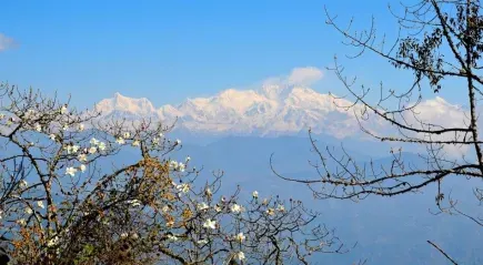 Kanchenjunga South Base Camp