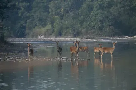 Wonders of Nepal