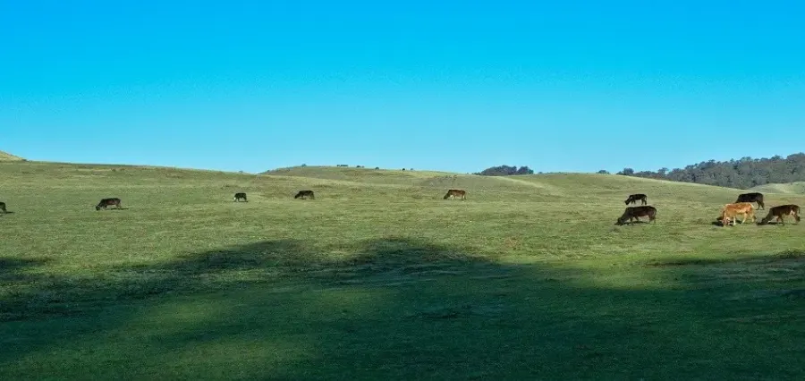 Khaptad National Park