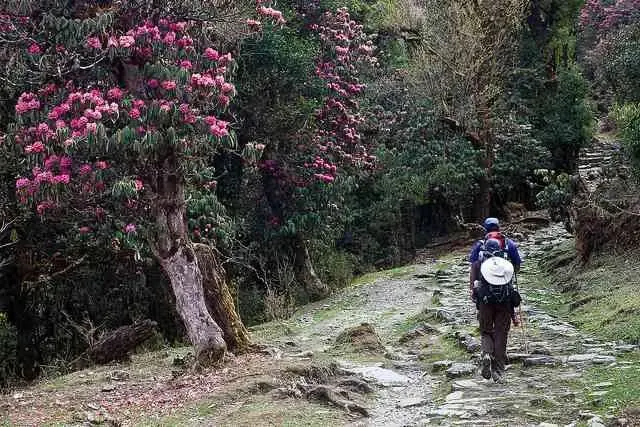 Milkhe Dada Trek