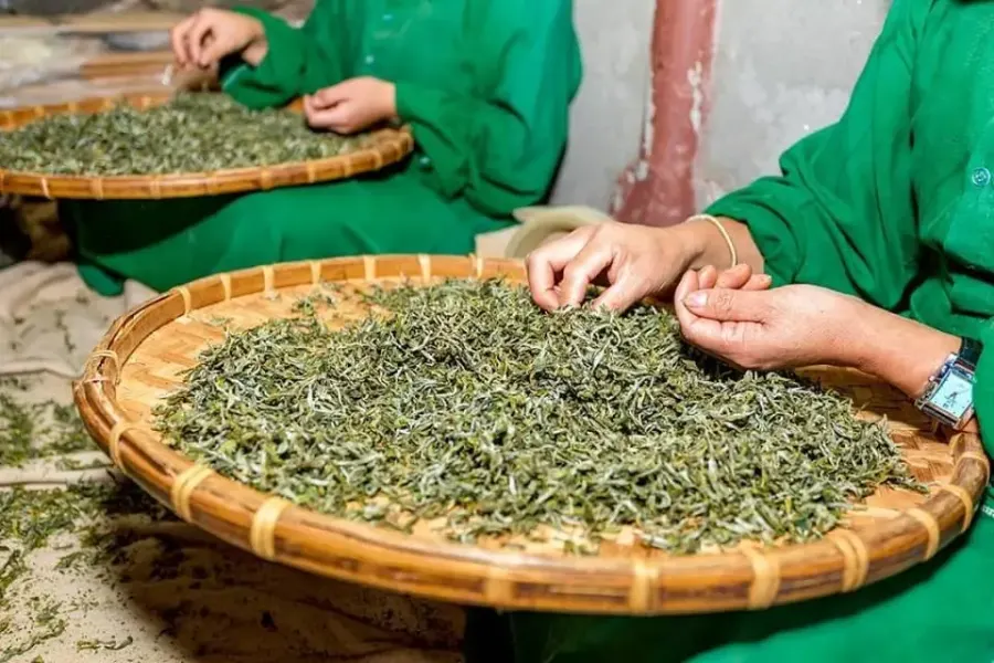 Nepali tea leaves