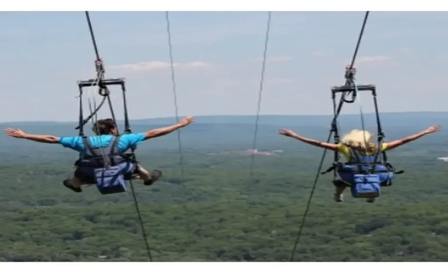 Zip Flyer