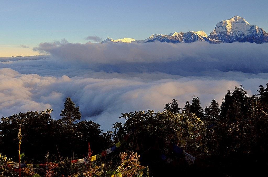 Dhaulagiri above the cloud sea, Annapurna region
