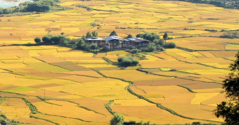Things to Do in Bhutan