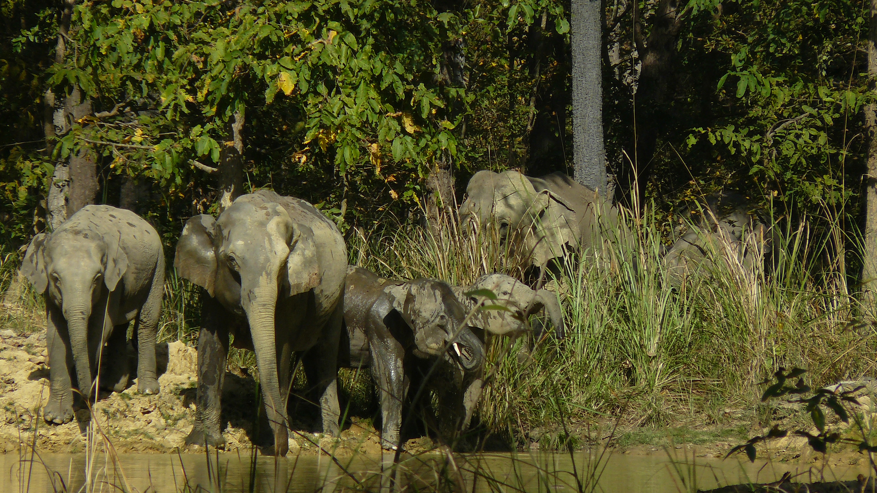 Three of Our Favourite and Unusual Trips in Nepal
