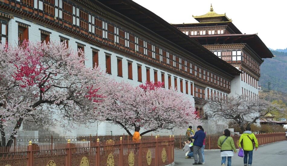 A Complete Guide to Traveling to Bhutan