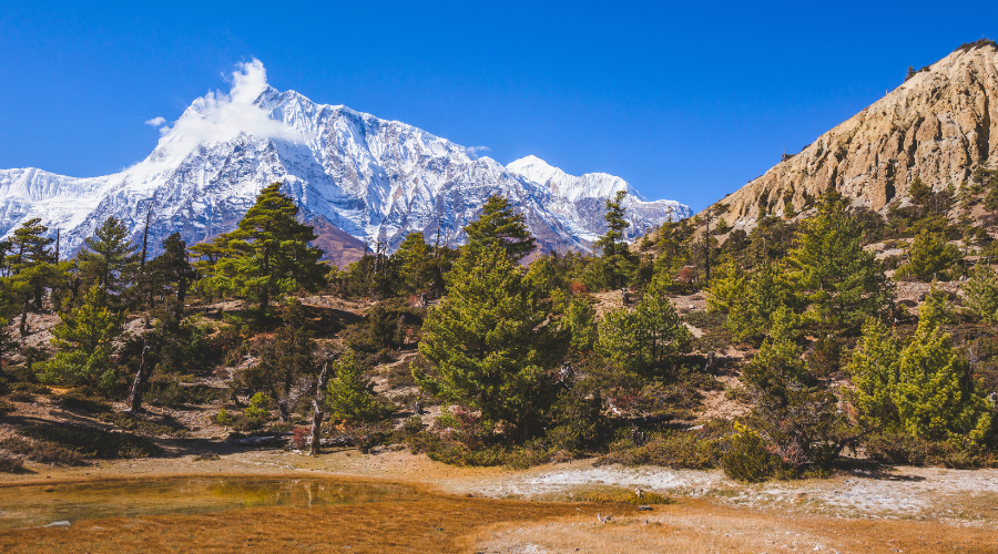 Guide to Annapurna Circuit Trek Permits: Costs, Process, and Tips