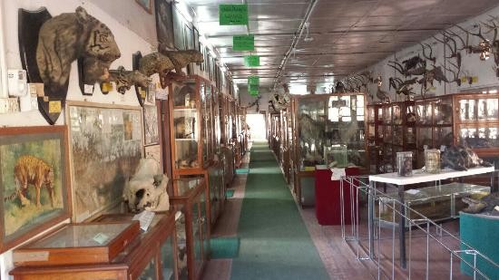 Chhauni Museum