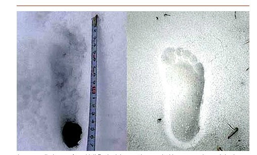 Footprints of Yeti