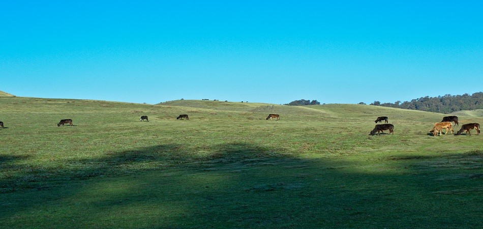 Khaptad National Park