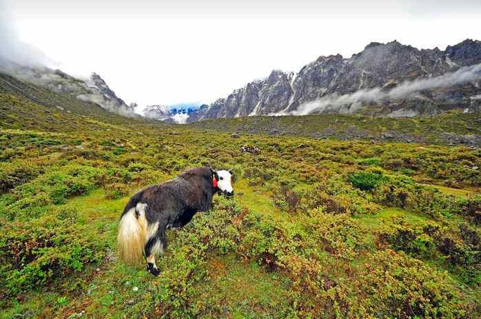 Khaptad National Park
