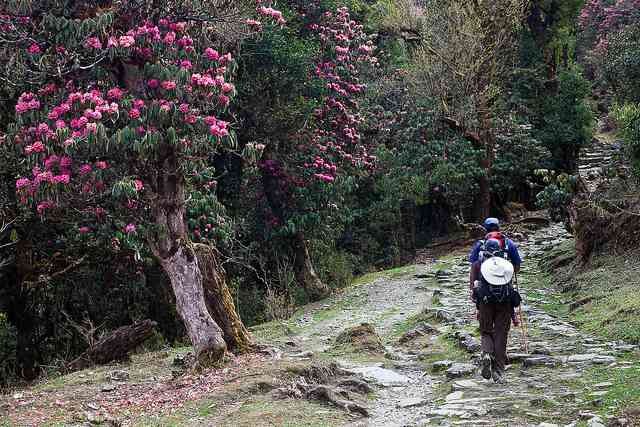 Milkhe Dada Trek