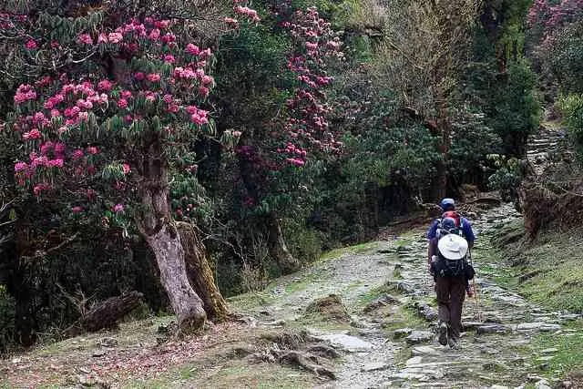Milkhe Dada Trek