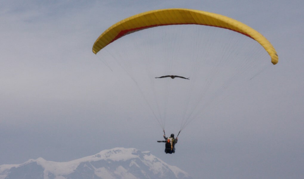 Parahawking in Nepal