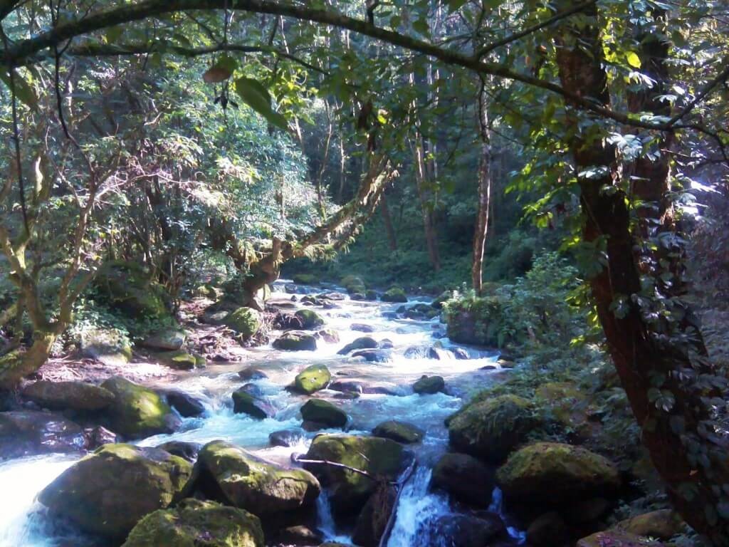 Shivapuri National Park- Swotah Travel