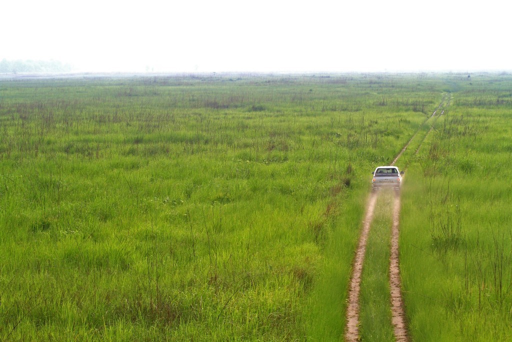 Sukhlaphanta wildlife Reserve