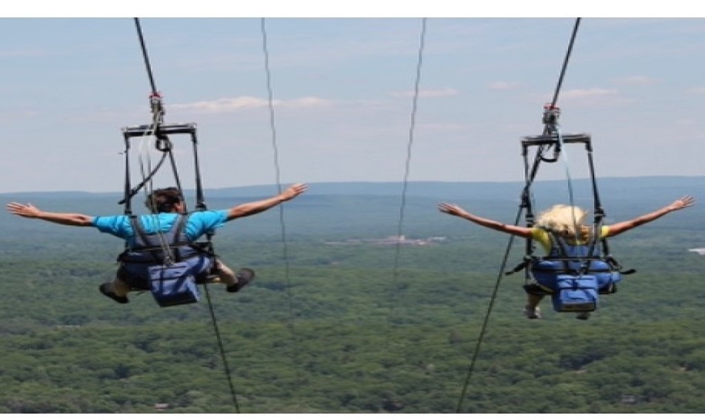 Zip Flyer