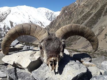 Annapurna Base Camp Trek