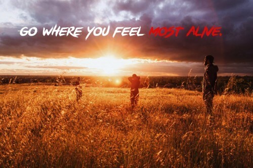 Travel Quotes- Swotah Travel
