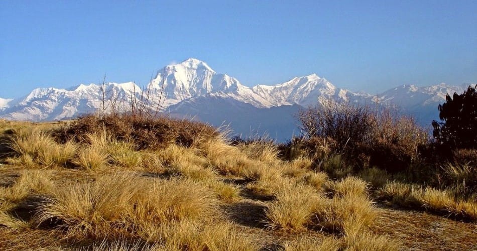Poon Hill Ghorepani Trek