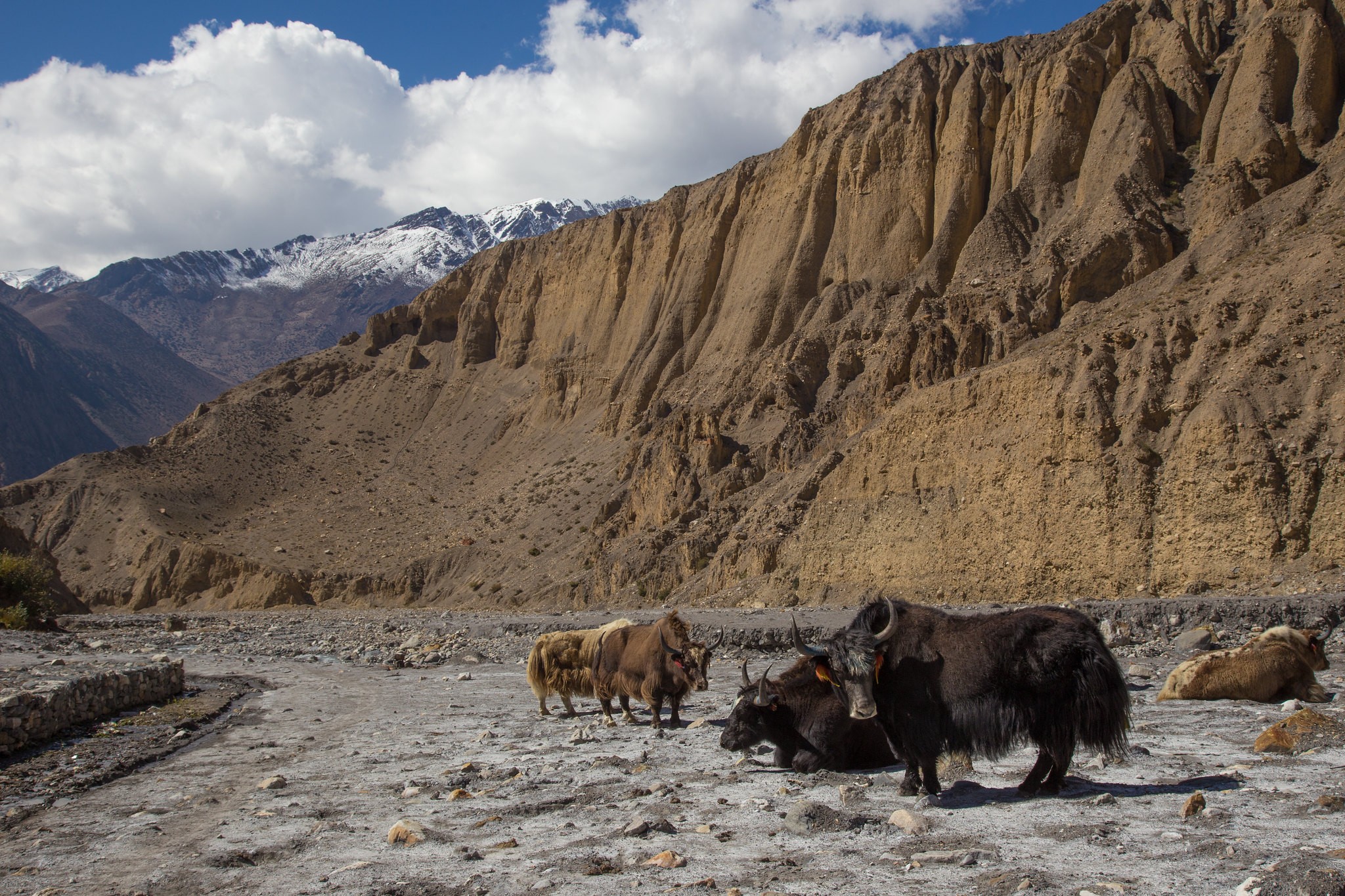 Views at Jomsom-Muktinath trek