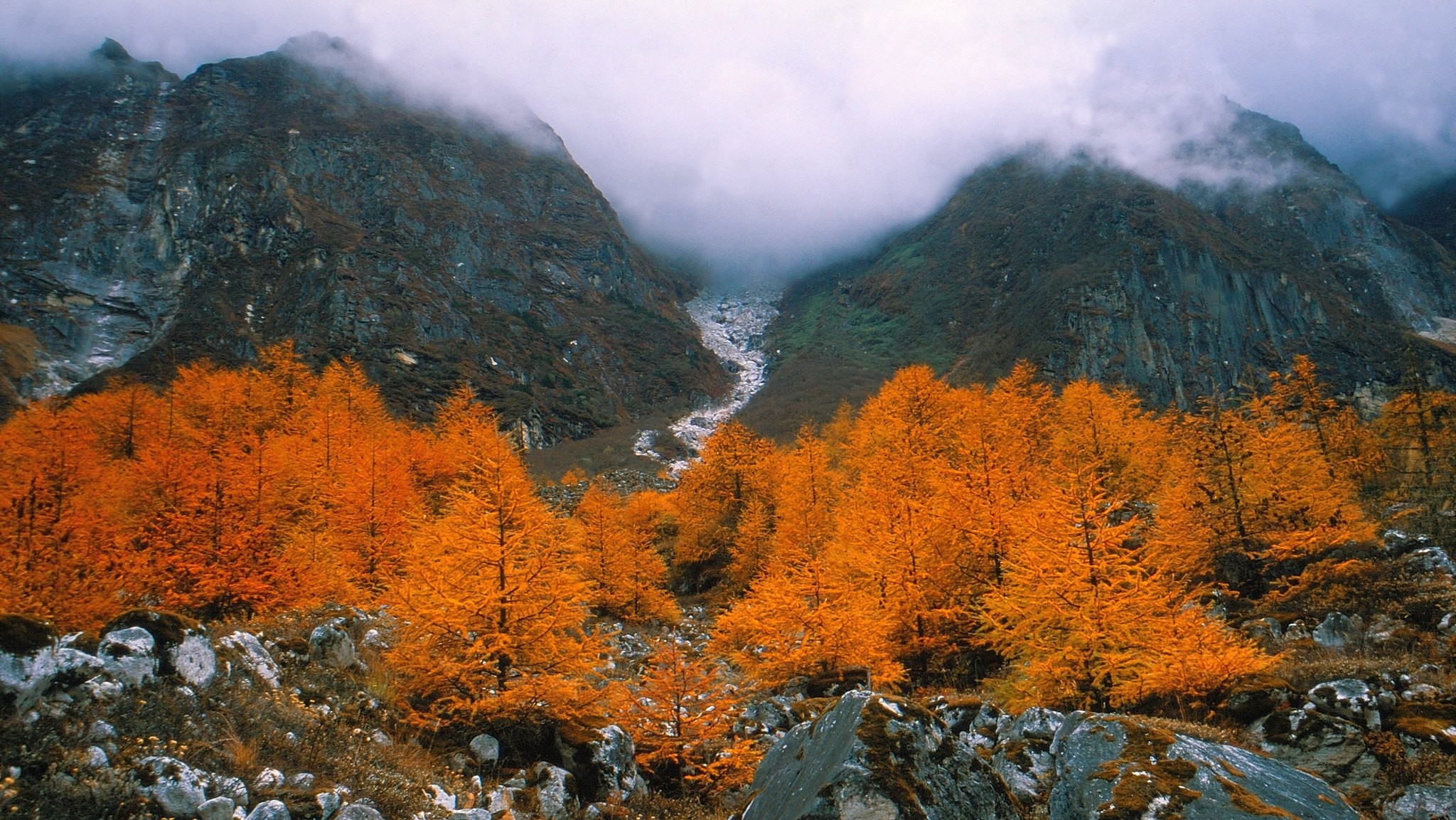 On the way to Kanchenjunga Base Camp
