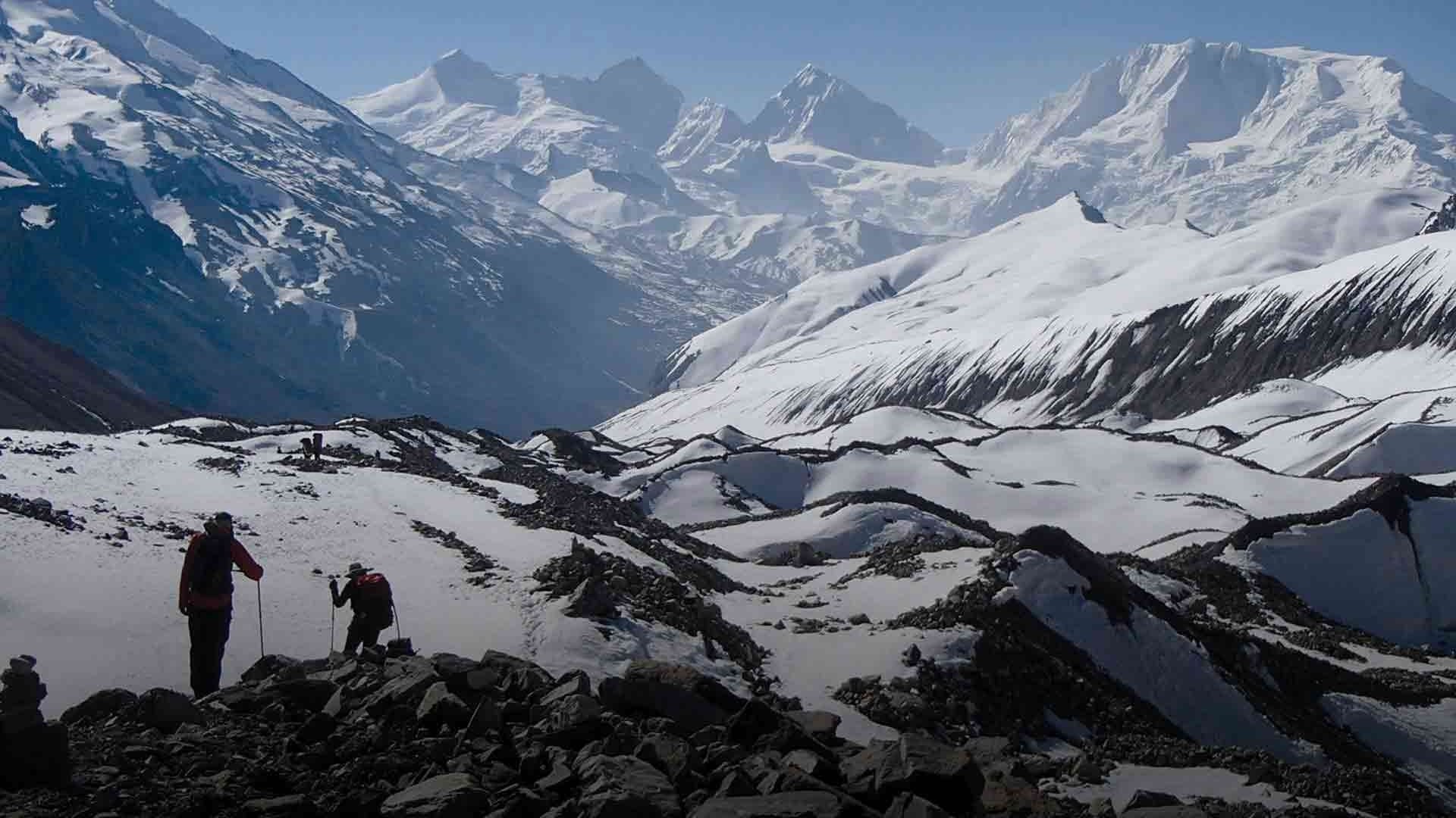 Teri La Pass