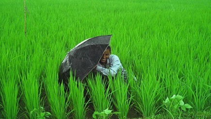 Naturally Nepal