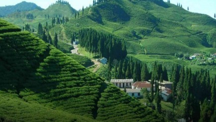 Eastern Nepal Trip with Darjeeling
